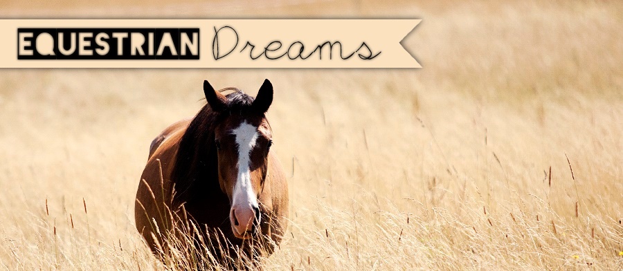 Equestrian Dreams